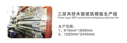 PE\PP多層復合塑料建筑模板生產(chǎn)線(xiàn)